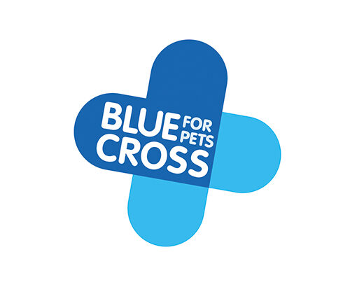 Blue Cross Logo