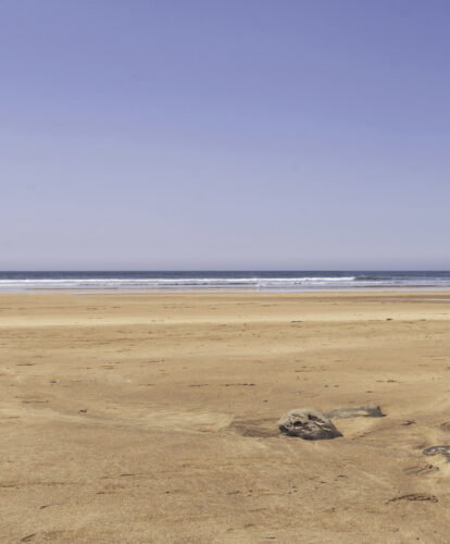 A view of a Beach