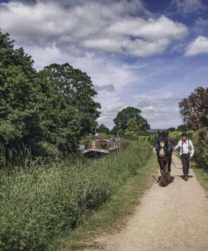 A man and a horse walking along a canal pavement