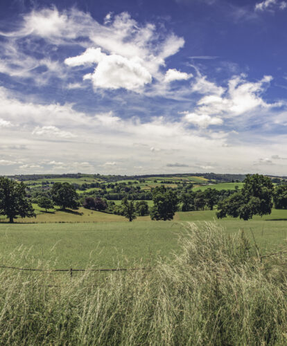 A view of some fields